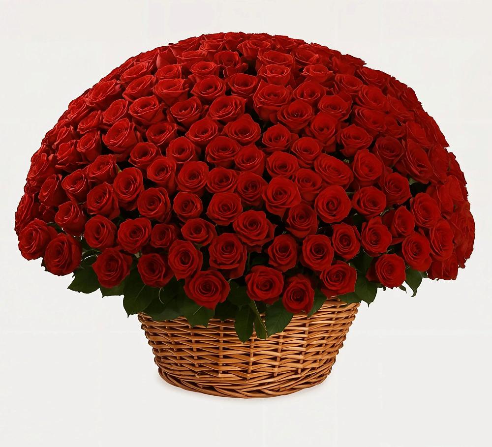 251 Премиум красная роза в Краснотурьинске Премиум букет из: Розы в Краснотурьинске