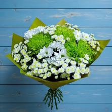 Букет скромность  в Краснотурьинске Букет цветов из:  Хризантемы в Краснотурьинске