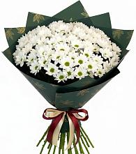 Букет море ромашек в Краснотурьинске Букет цветов из:  Хризантемы в Краснотурьинске